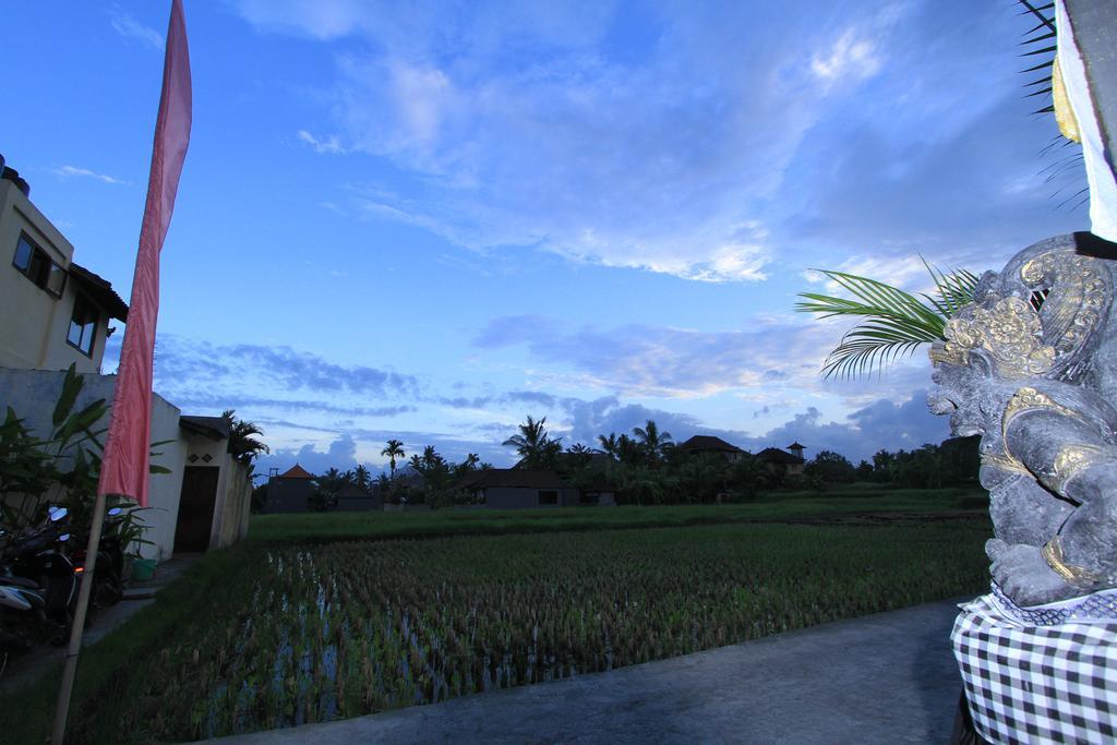 Pondok Buda Merta Ubud Dış mekan fotoğraf